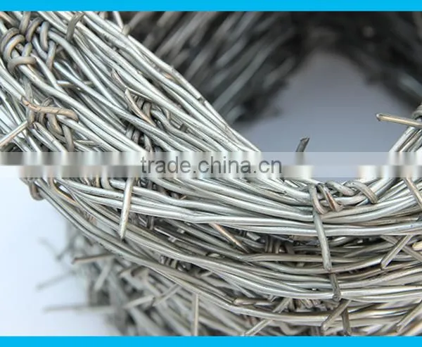 China Supplier Galvanized Stainless Steel Barbed Wire photo-3