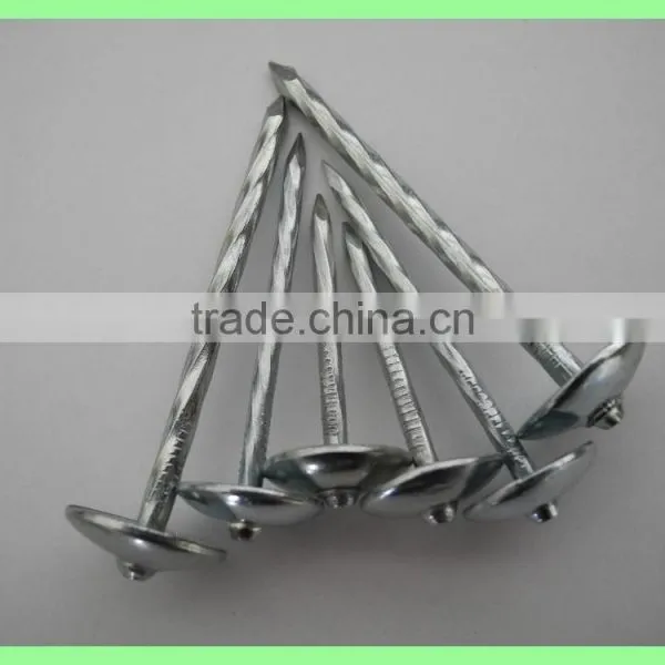 2.5'' Umberlla Roofing Nails, 25kg per Carton/50kg/gunny Bag photo-5
