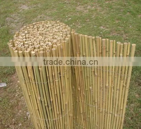 Cheap Bamboo Fence Roll photo-5
