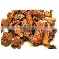 Hemidesmus Indicus Extract photo-3