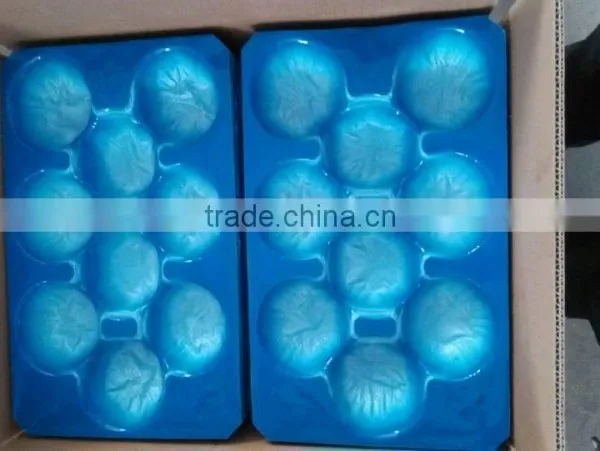 Walmart&Kroger Supermarket Display Disposable Plastic Fruit and Vegetable Trays photo-2