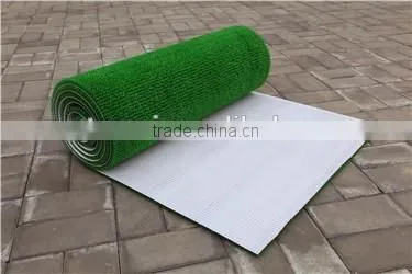 Grass Carpet Endure Hot and Cold Temperature photo-2