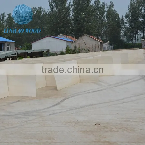 Manufacturer Paulownia Finger Jointed Panels photo-5
