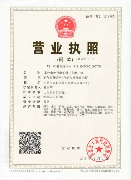 Dongguan Ying Yue Electronic Technology Co. Ltd. company overview - view 2