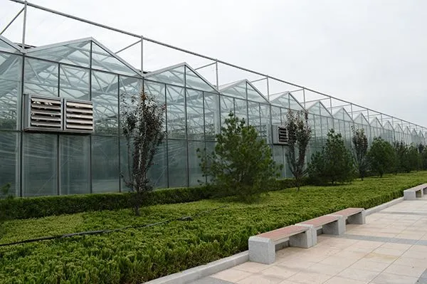 Agricultural Glass Greenhouse for Planting/Hydroponic Planting photo-5