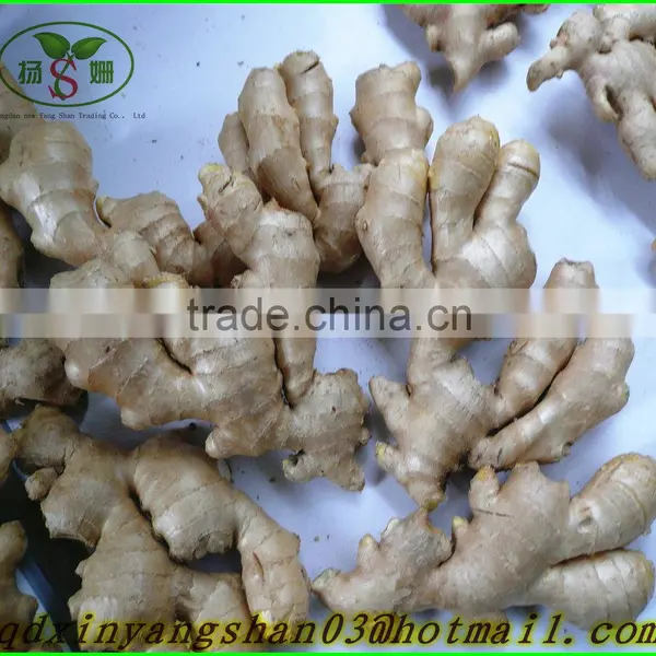 Not the Best;Only Better!Pure White Garlic/white Garlic Exports photo-6