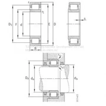INA F-95066.02 Cylindrical Roller Bearings photo-2