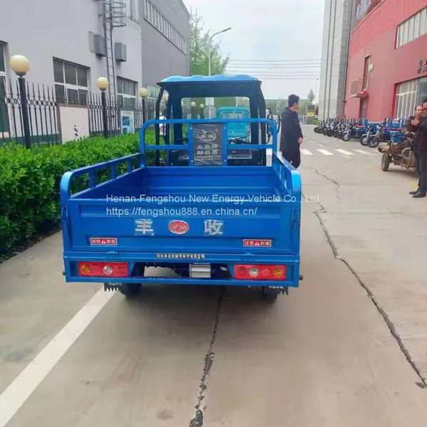 ASA2 Semi-closed Type Heavy Load Tricycle photo-4