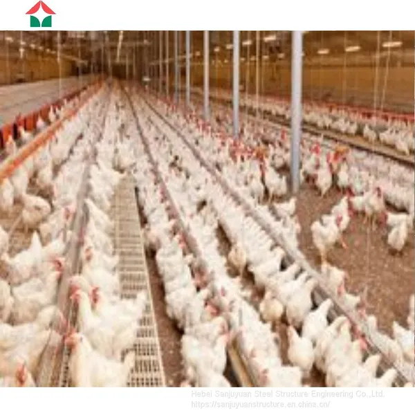 Chicken Broiler Houses photo-3