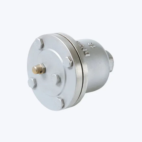High Quality Stainless Steel Exhaust Valve Automatic Exhaust Valve photo-2