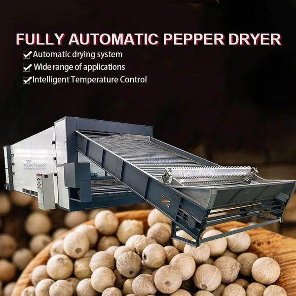 High Efficiency Heat Pump Pepper Dryer Machine Green Prickly Ash Black Pepper Dehydrator Drying Processing Plant Set EPC