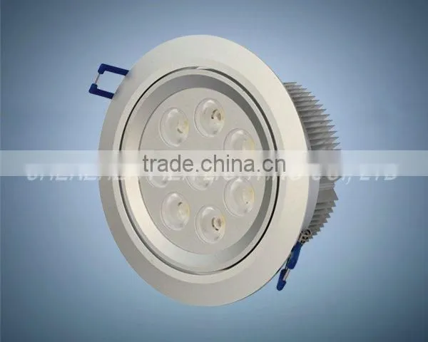 LED Residential Light