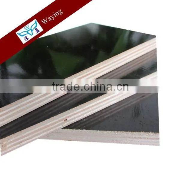 Poplar Main Material Popal Plywood photo-5