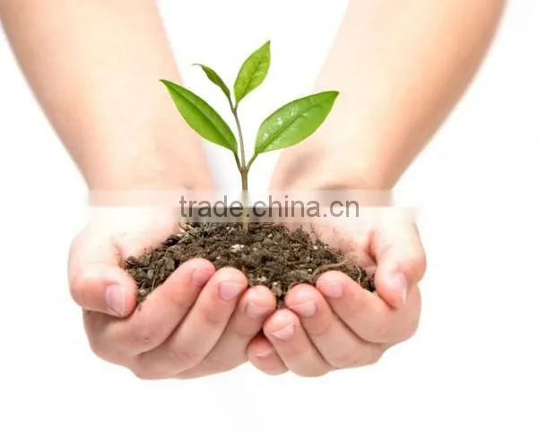 Growing Medium
