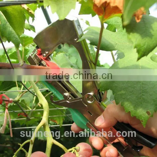 Fix Capsicum Tapetool photo-2
