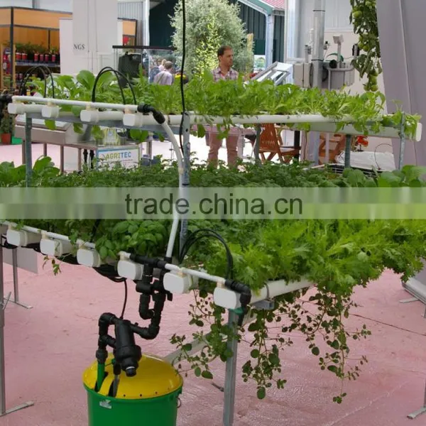 PVC Pipe List, Hose for Drip Irrigation and Hydroponic Systems