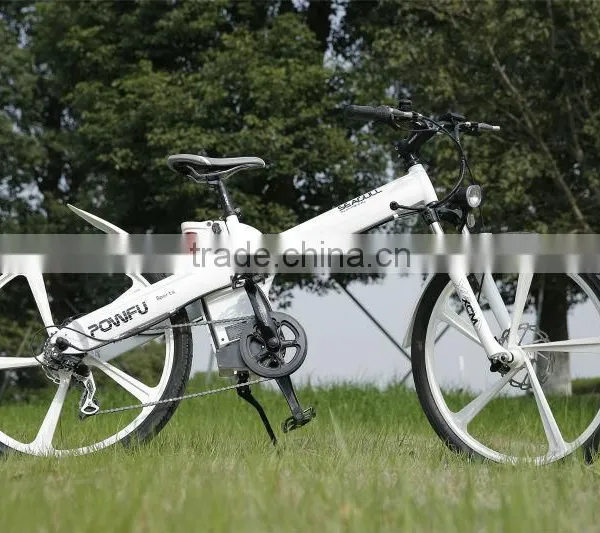 Hot Sale EN 15194 Electric Bicycle With Motor Front Mag Wheel photo-5