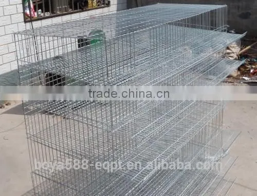 Automatic Quail Farming Cages Design for Kenya Farm photo-2