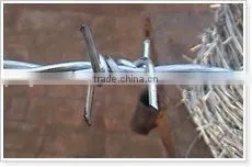 Galvanized Barbed Iron Wire