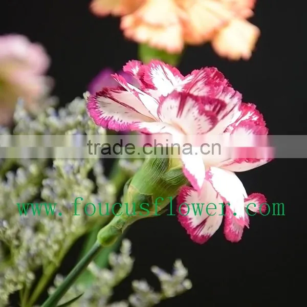 Best Quality Hot Sale Dried Flowers Red Wedding Invitations Real Touch Flowers photo-2