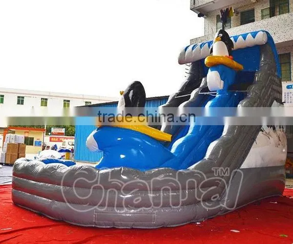 Magical Sea Wave Inflatable Water Slide Wih Pool, Commercial Inflatable Dolphin Water Slide photo-3