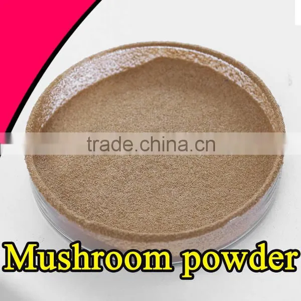 High Quality Mushroom Extract Factory Supply Mushroom Soup Powder photo-3