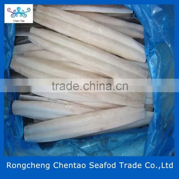 Frozen Fresh Conger Eel Fish