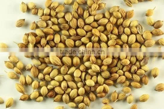 CORIANDER WHOLE