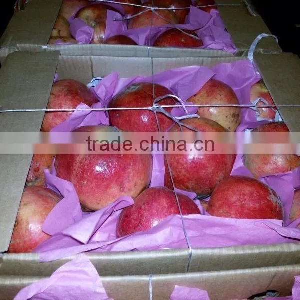 Frozen Pomegranate (Floride, Wonderful) Egypt Origin photo-3