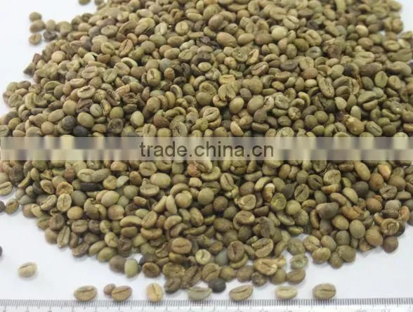 WASHED ARABICA GREEN COFFEE BEANS GRADE 2 SCREEN 13 photo-3