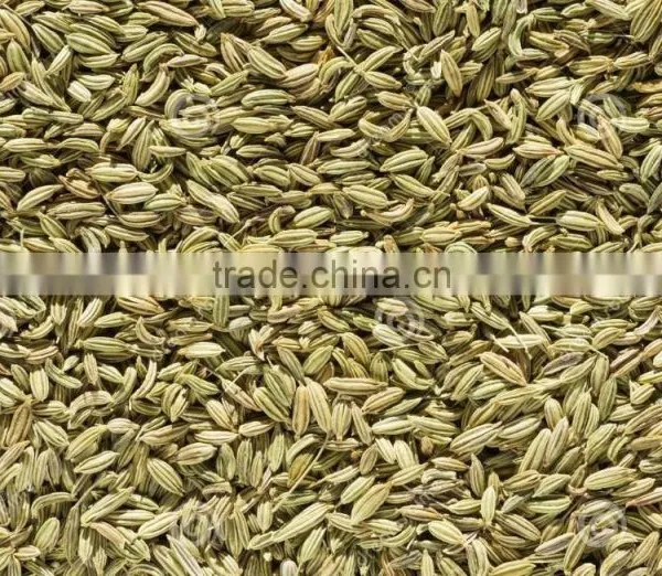Dehydrated Fennel Seeds