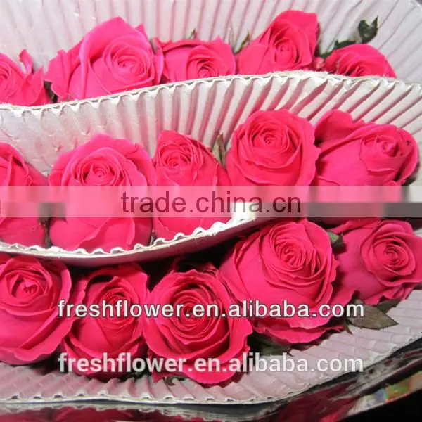 Wholesale Fresh Cut Rose Flower Rose Named Peach Rose From China photo-2