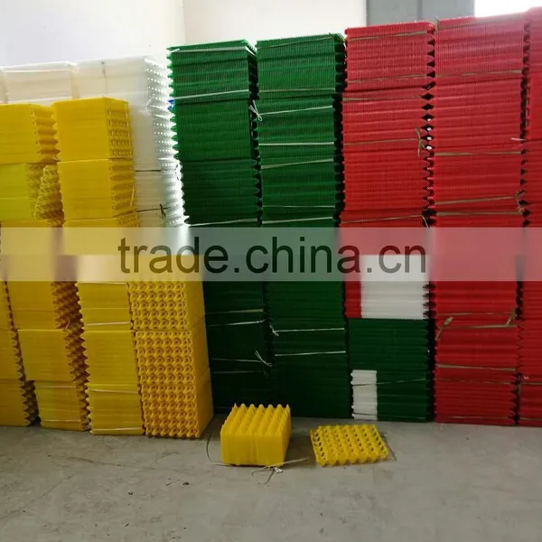 High Quality 30 Hole Plastic Chicken Egg Packing Tray photo-3