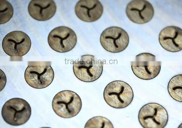 Hot Selling Automatic Pasta Maker Machine photo-5