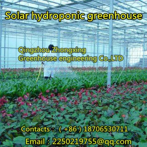 Glass Greenhouse！
