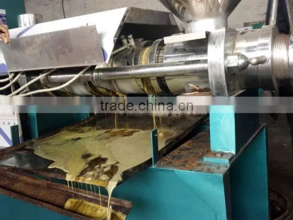 High Oil Yield Small Cold Press Oil Machine photo-5