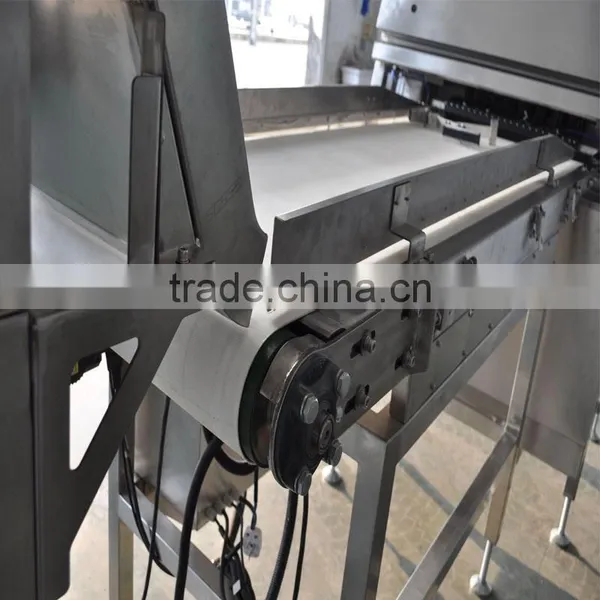 Optical Cashew Nut Processing Machine/Glass Cullet Color Sorter Machine photo-6