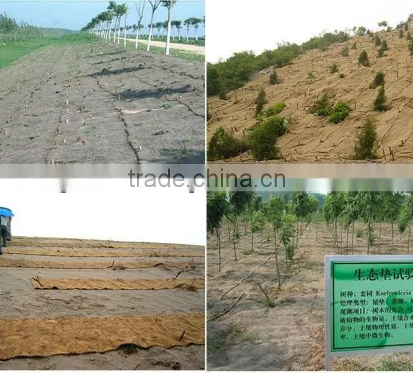 Palm Fiber Mat photo-5
