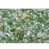Singapore The Best and The Newest Decorative Material