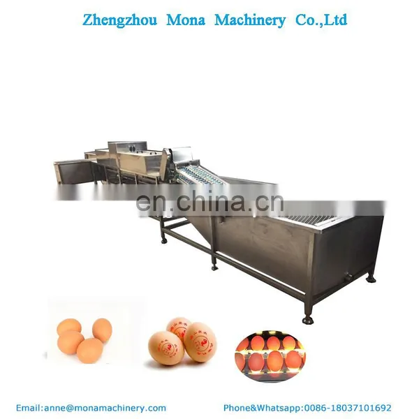 Egg Washing Grading Sterilization Machine Egg Processing Equipment photo-2