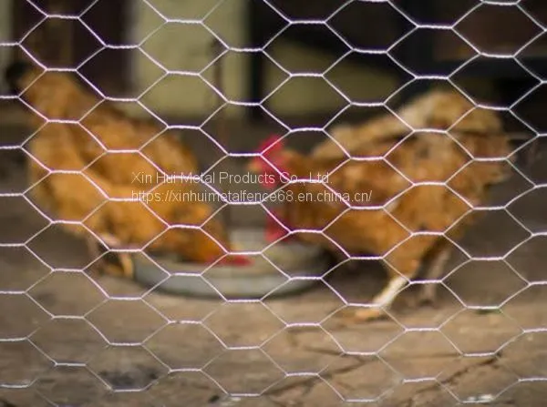 Galvanized Hexagonal Rabbit Mesh photo-3