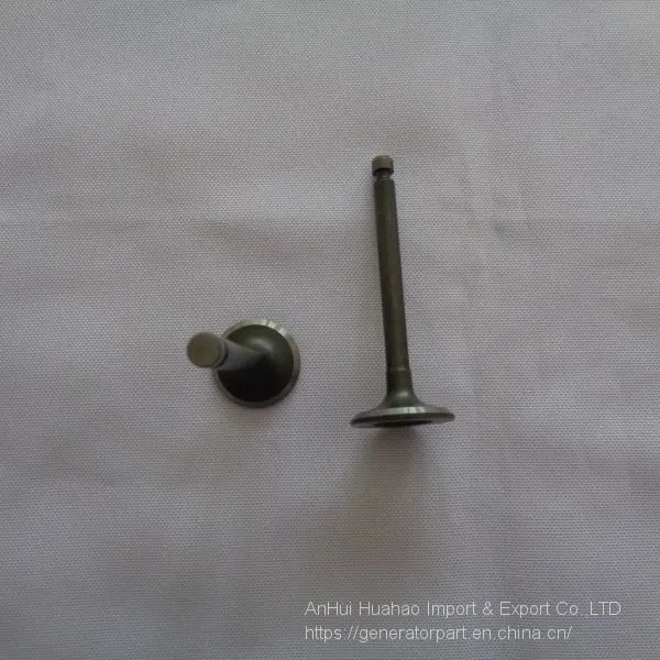 EF2600 Generator Intake and Exhaust Valve photo-4