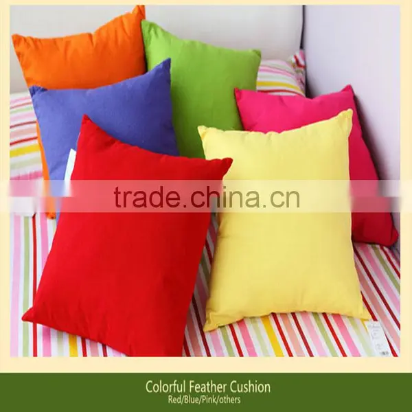 Decorative Cushion/office Pad/car Pad/feather Cushion