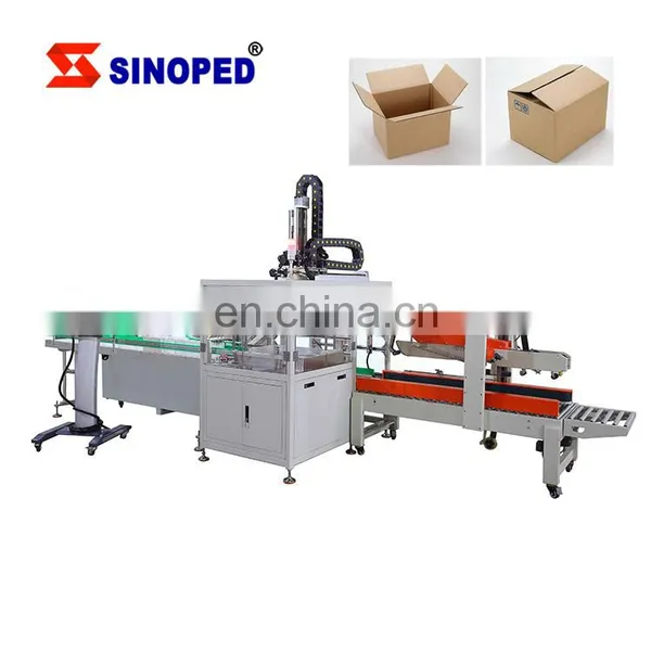 25pcs Per Carton Plastic Bottle Robot Pick Up Packer Manipulator Place Case Packing Machine photo-3