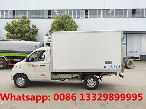 Cheapest Price Gasoline Engine FOTON V1 Refrigerated Minivan 1T Loading Capacity for Sale photo-4