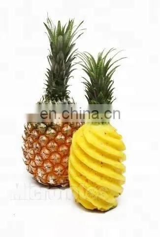 Automatic Coconut Peeling Machine/pineapple Peeling Machine photo-4