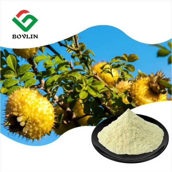 Rosa Roxburghii Powder