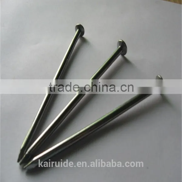 Common Nail/size of Common Nail/iron Nail Factory photo-5