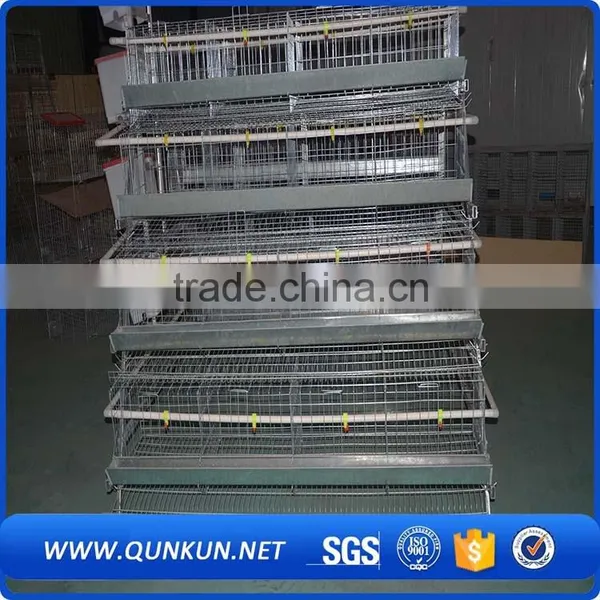 Layer Chicken Cage for Poultry Chickens photo-4