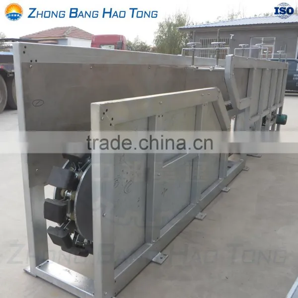 Belly Supporting Type Live Pig Shackling Conveyor Used in Medium Size Pig Slaughterhouse